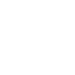 Audible logo white